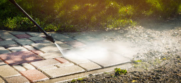 Best Sidewalk and Walkway Cleaning  in Jacinto City, TX